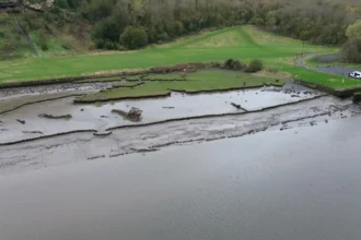 Coastal Rivers Expands Marsh River Bog Area Land Purchase Newcastle 2026