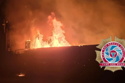 Jarrow Timberline Fire: Owner Devastated