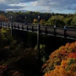 Jesmond Dene Property & Lifestyle Guide South Gosforth