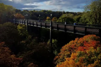 Jesmond Dene Property & Lifestyle Guide South Gosforth