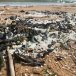 River Tyne Plastic Nurdle Spill Cleanup Progress Update Newcastle 2026