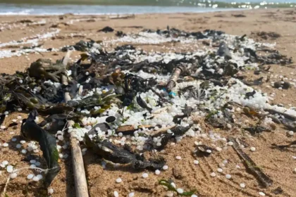 River Tyne Plastic Nurdle Spill Cleanup Progress Update Newcastle 2026