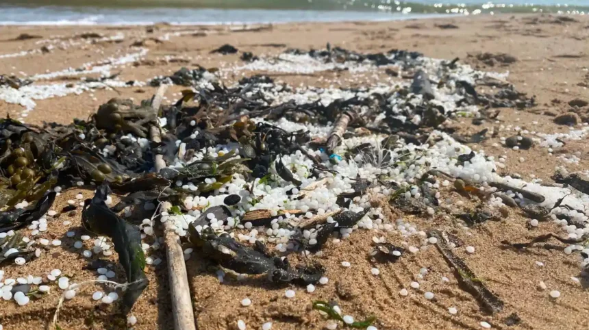 River Tyne Plastic Nurdle Spill Cleanup Progress Update Newcastle 2026