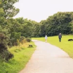 Best Countryside Walks, Historic Trails and Nature Spots in Chapel Park, Newcastle