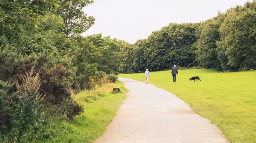 Best Countryside Walks, Historic Trails and Nature Spots in Chapel Park, Newcastle