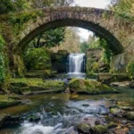 Things to Do Near Newcastle Great Park_ Best Days Out