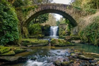 Things to Do Near Newcastle Great Park_ Best Days Out