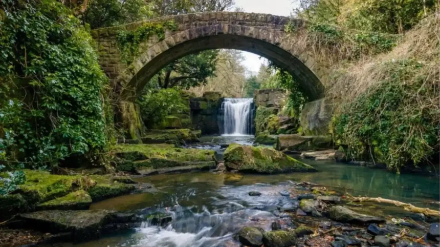 Things to Do Near Newcastle Great Park_ Best Days Out